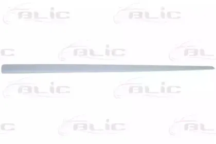 5703-04-2023575P BLIC Облицовка / защитная накладка, дверь