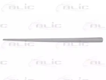 5703-04-2023576P BLIC Облицовка / защитная накладка, дверь