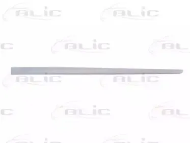 5703-04-2023577P BLIC Облицовка / защитная накладка, дверь