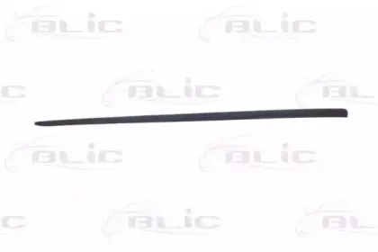 5703-04-2024572P BLIC Облицовка / защитная накладка, дверь