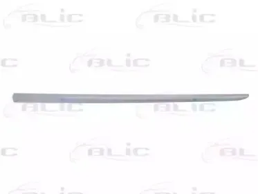 5703-04-2024575P BLIC Облицовка / защитная накладка, дверь