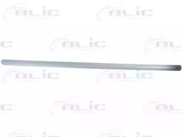 5703-04-2026576P BLIC Облицовка / защитная накладка, дверь