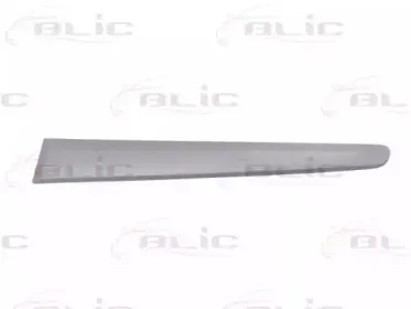 5703-04-2027478P BLIC Облицовка / защитная накладка, крыло