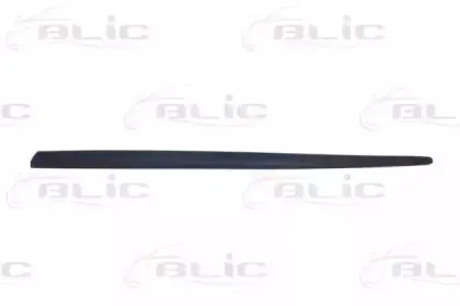 5703-04-2027571P BLIC Облицовка / защитная накладка, дверь