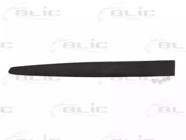 5703-04-2027573P BLIC Облицовка / защитная накладка, дверь
