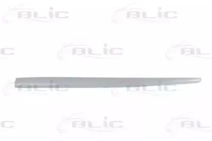 5703-04-2027575P BLIC Облицовка / защитная накладка, дверь