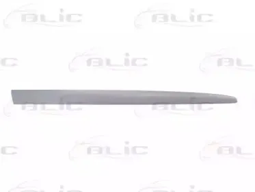 5703-04-2027576PP BLIC Облицовка / защитная накладка, дверь