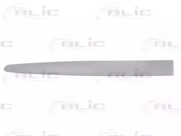 5703-04-2027577P BLIC Облицовка / защитная накладка, дверь