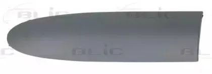 5703-04-2031477P BLIC Облицовка / защитная накладка, крыло