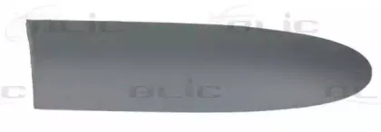 5703-04-2031478P BLIC Облицовка / защитная накладка, дверь