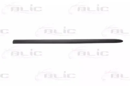 5703-04-2031571P BLIC Облицовка / защитная накладка, дверь