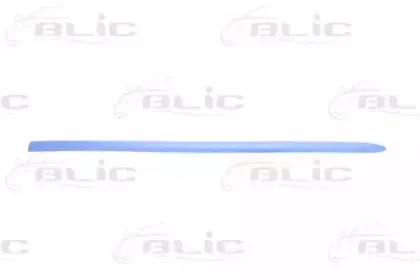 5703-04-2031575P BLIC Облицовка / защитная накладка, дверь