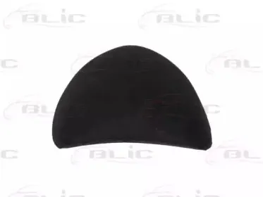 5703-04-2031579P BLIC Облицовка / защитная накладка, дверь