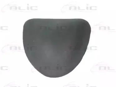 5703-04-2031580P BLIC Облицовка / защитная накладка, дверь