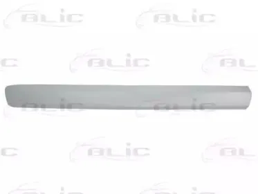 5703-04-2042575P BLIC Облицовка / защитная накладка, дверь