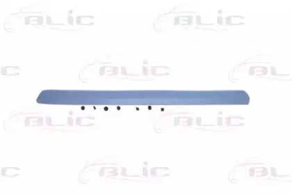 5703-04-2042576P BLIC Облицовка / защитная накладка, дверь