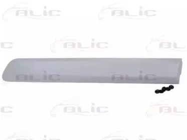 5703-04-2042577P BLIC Облицовка / защитная накладка, дверь