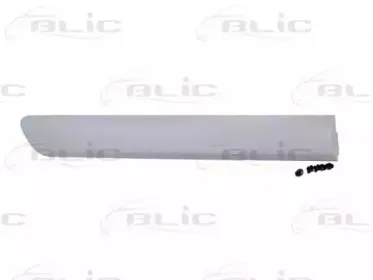 5703-04-2042578P BLIC Облицовка / защитная накладка, дверь