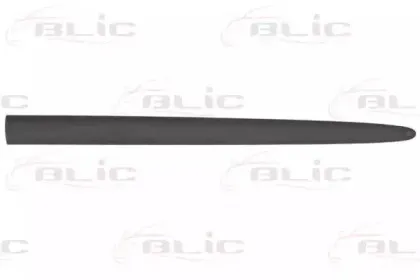 5703-04-2045572P BLIC Облицовка / защитная накладка, дверь