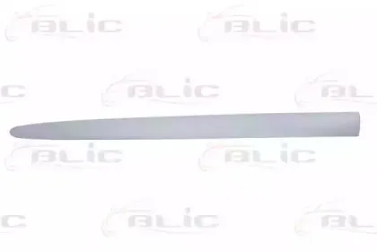 5703-04-2045575P BLIC Облицовка / защитная накладка, дверь