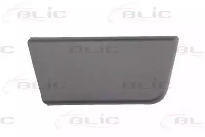 5703042097572P BLIC Облицовка / защитная накладка, дверь