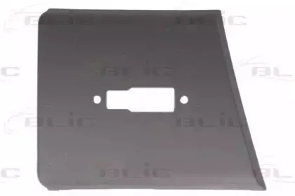 5703042097576P BLIC Облицовка / защитная накладка, боковина