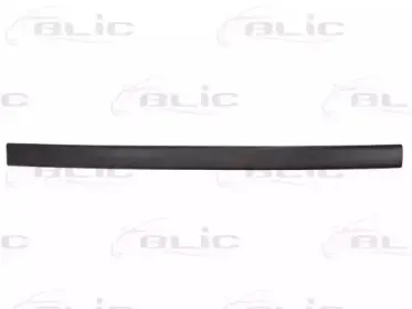 5703-04-2530571P BLIC Облицовка / защитная накладка, дверь