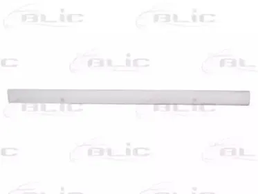 5703-04-2530575P BLIC Облицовка / защитная накладка, дверь