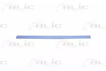 5703-04-2530576P BLIC Облицовка / защитная накладка, дверь