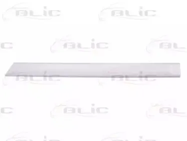 5703-04-2530577P BLIC Облицовка / защитная накладка, дверь