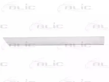 5703-04-2530578P BLIC Облицовка / защитная накладка, дверь