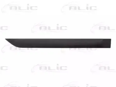 5703-04-2532578P BLIC Облицовка / защитная накладка, дверь