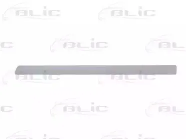 5703-04-2533577P BLIC Облицовка / защитная накладка, дверь