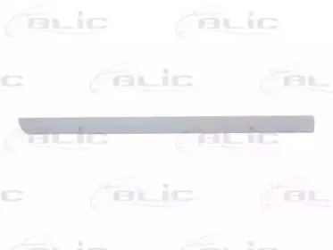 5703-04-2533578P BLIC Облицовка / защитная накладка, дверь