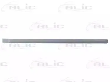 5703-04-2555578P BLIC Облицовка / защитная накладка, дверь