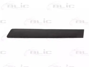 5703-04-2564473CP BLIC Облицовка / защитная накладка, дверь