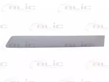 5703-04-2564477CP BLIC Облицовка / защитная накладка, дверь