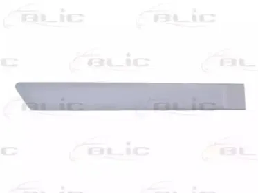 5703-04-2564478CP BLIC Облицовка / защитная накладка, дверь