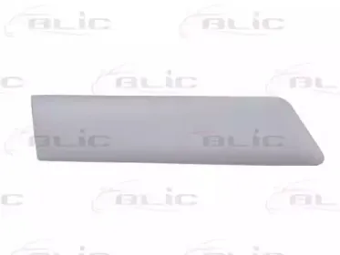 5703-04-2564478PP BLIC Облицовка / защитная накладка, крыло
