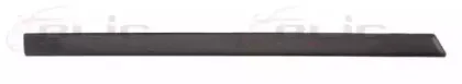 5703-04-2564478P BLIC Облицовка / защитная накладка, дверь