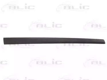 5703-04-2564571CP BLIC Облицовка / защитная накладка, дверь