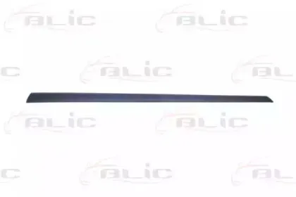 5703-04-2564571PP BLIC Облицовка / защитная накладка, дверь