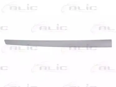 5703-04-2564575CP BLIC Облицовка / защитная накладка, дверь