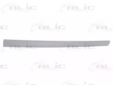 5703-04-2564576CP BLIC Облицовка / защитная накладка, дверь