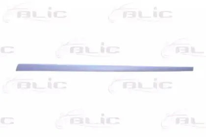 5703-04-2564576PP BLIC Облицовка / защитная накладка, дверь