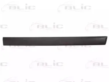 5703-04-2576572PP BLIC Облицовка / защитная накладка, дверь