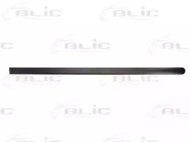 5703-04-2576572P BLIC Облицовка / защитная накладка, дверь