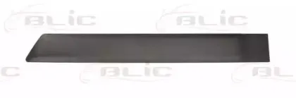 5703-04-2576573P BLIC Облицовка / защитная накладка, дверь
