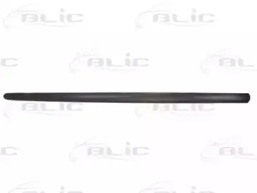 5703-04-5022571P BLIC Облицовка / защитная накладка, дверь