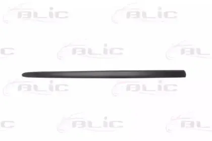 5703-04-5022572PP BLIC Облицовка / защитная накладка, дверь